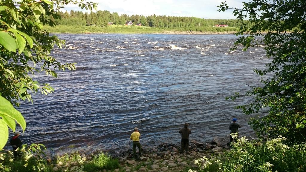 Nivagarden Villa Korpikylä Buitenkant foto