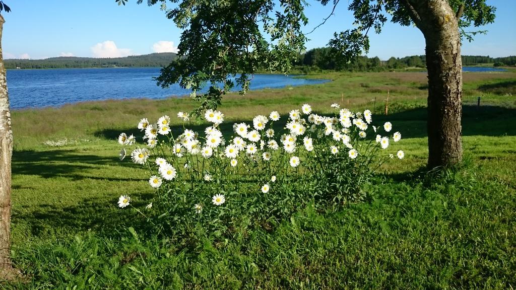 Nivagarden Villa Korpikylä Buitenkant foto